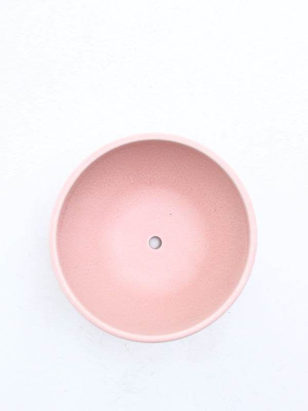 Plant Hunter Pot サクラ