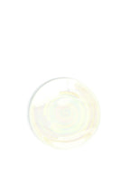 ボナペティ6プレート 真珠瓷