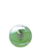 ボナペティ6プレート 草緑瓷