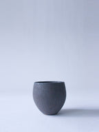 ブラックタマゴカップSS