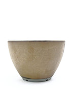 Plant Hunter Pot ブリンブリン