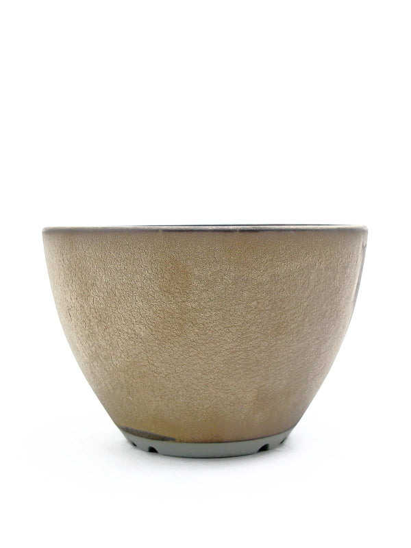 Plant Hunter Pot ブリンブリン