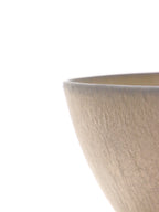 Bowl S ブリンブリン