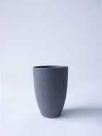 ブラックカップS