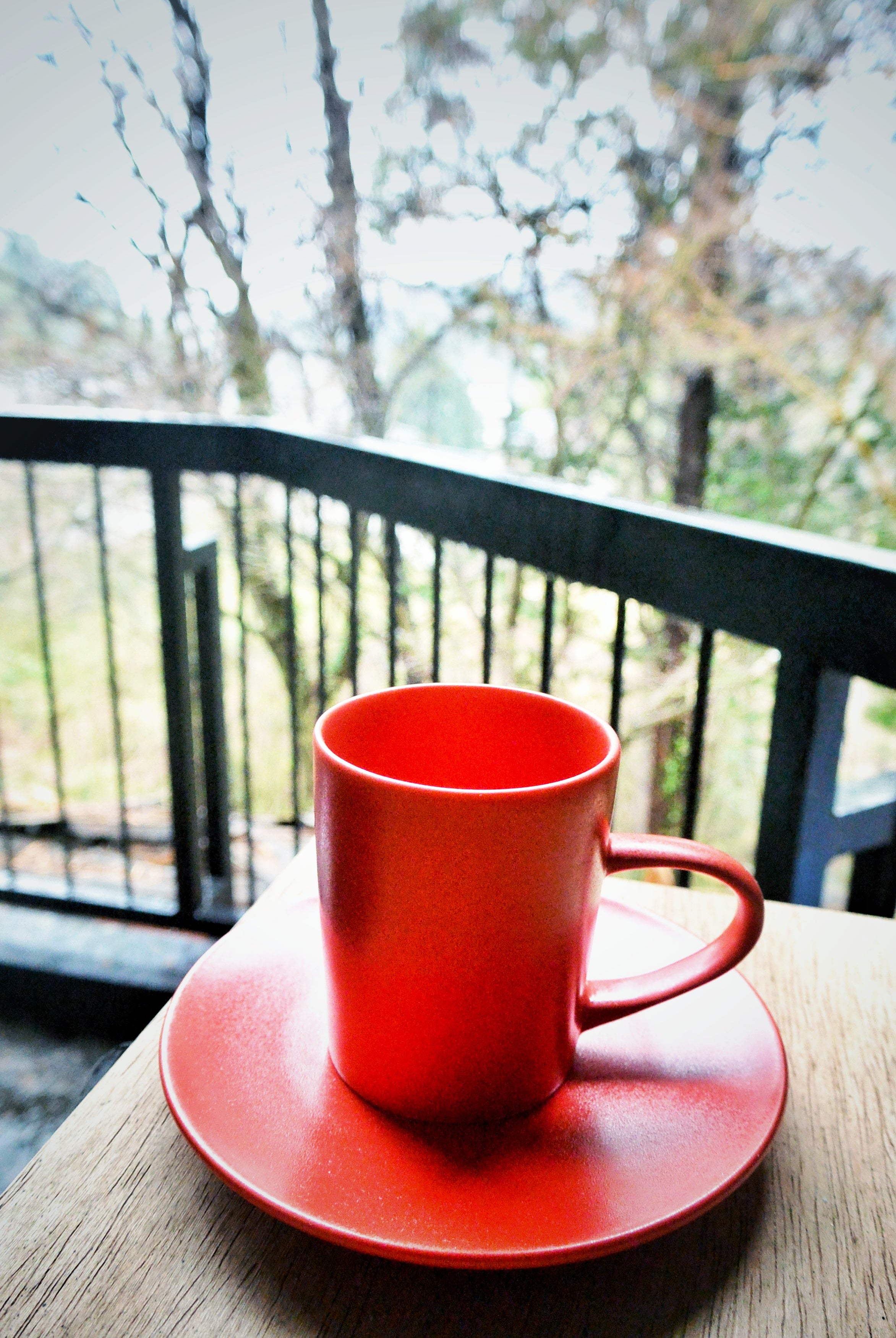 ボナペティ5プレート ワインレッド（旧）