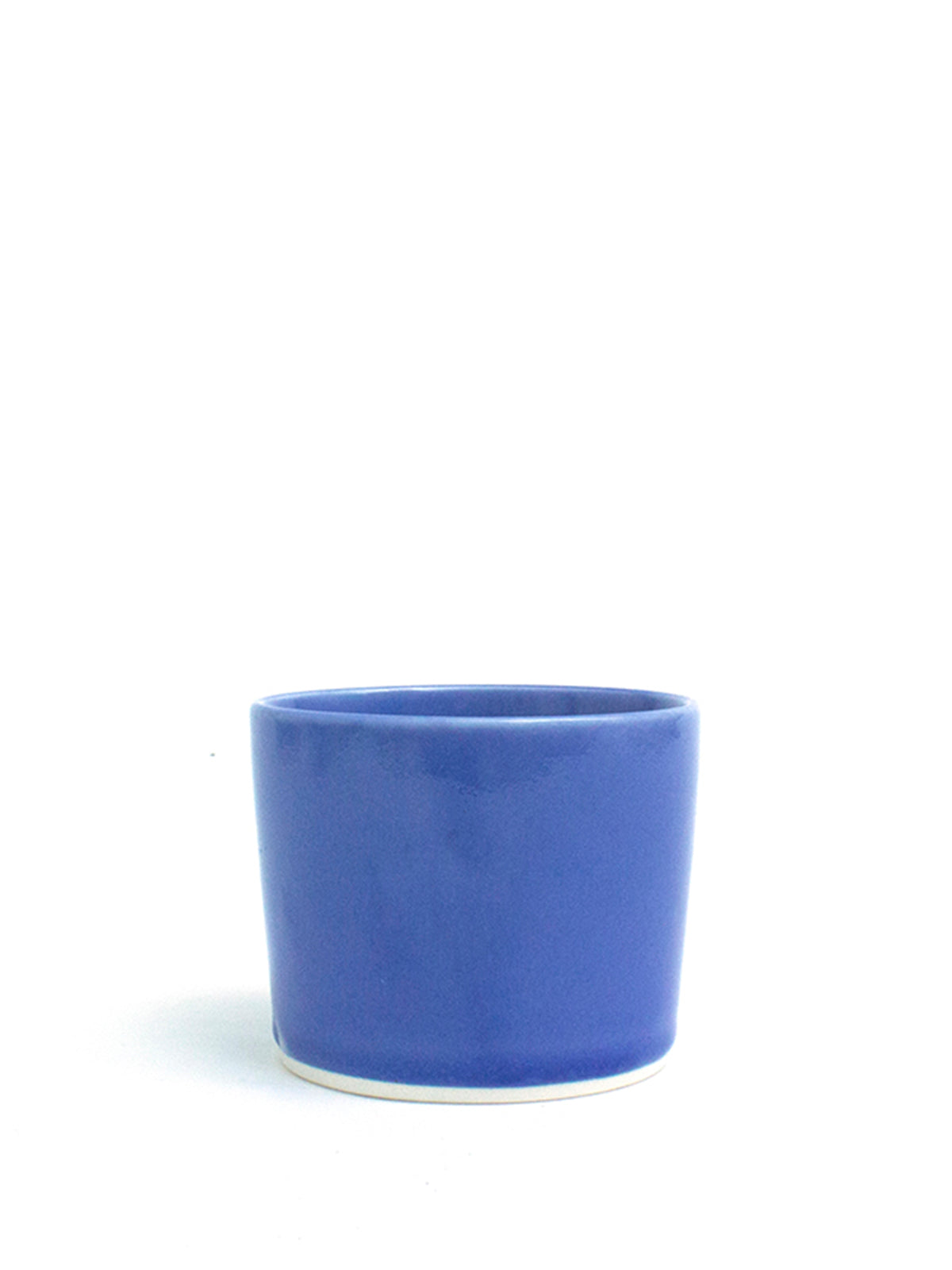 フリーカップS ヘブンブルー