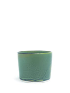 フリーカップS ジュピター