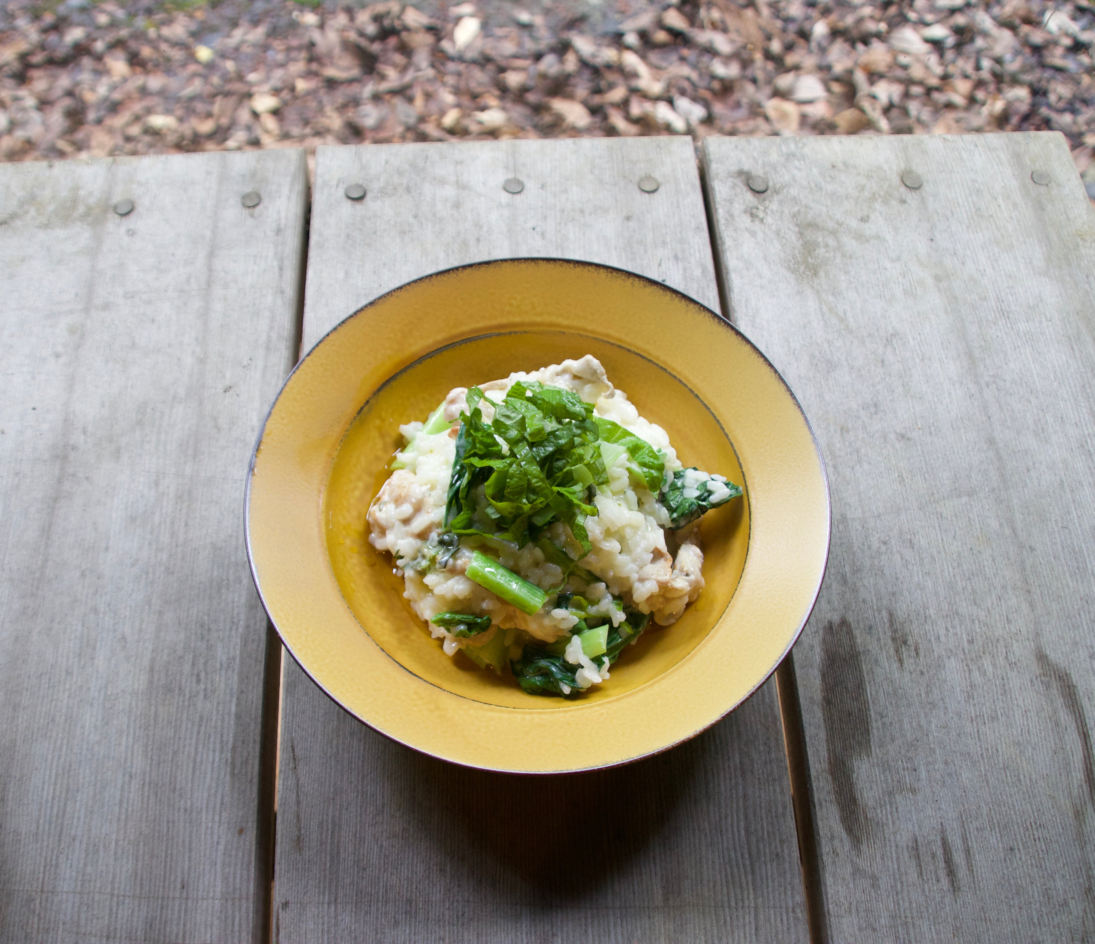 パスタ皿 7寸 ヴィーナス