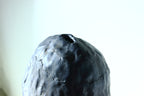水晶惑星 チムチムゴッド
