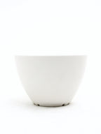 Plant Hunter Pot ミルク