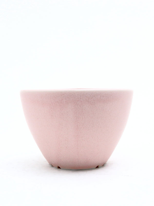 Plant Hunter Pot サクラ