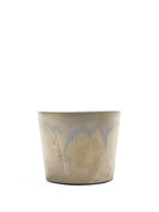 ブリンブリンチョコS